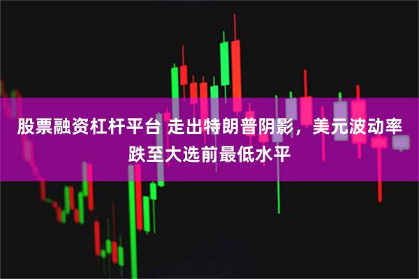 股票融资杠杆平台 走出特朗普阴影，美元波动率跌至大选前最低水平