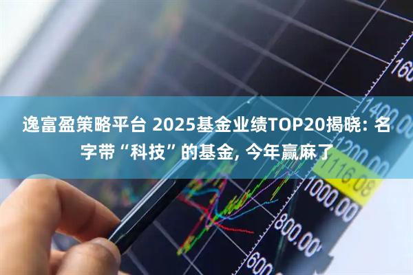 逸富盈策略平台 2025基金业绩TOP20揭晓: 名字带“科技”的基金, 今年赢麻了