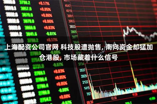 上海配资公司官网 科技股遭抛售, 南向资金却猛加仓港股, 市场藏着什么信号