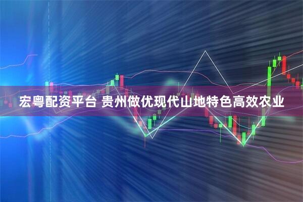 宏粤配资平台 贵州做优现代山地特色高效农业